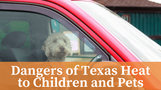 Texas Heat: Dangers to Pets and Children